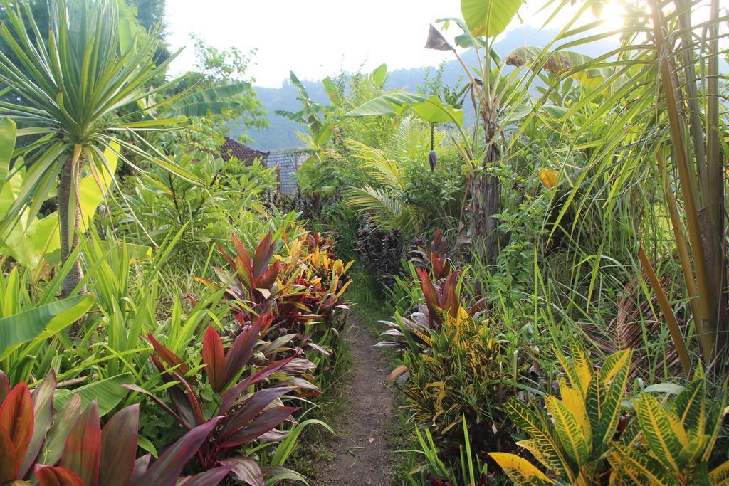 The Bukit Artha Bed & Breakfast Sidemen  Exterior foto