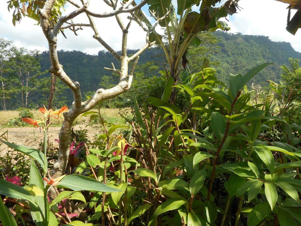 The Bukit Artha Bed & Breakfast Sidemen  Exterior foto