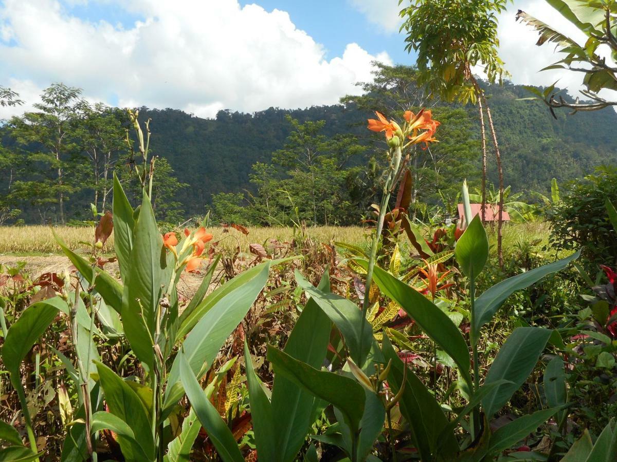 The Bukit Artha Bed & Breakfast Sidemen  Exterior foto