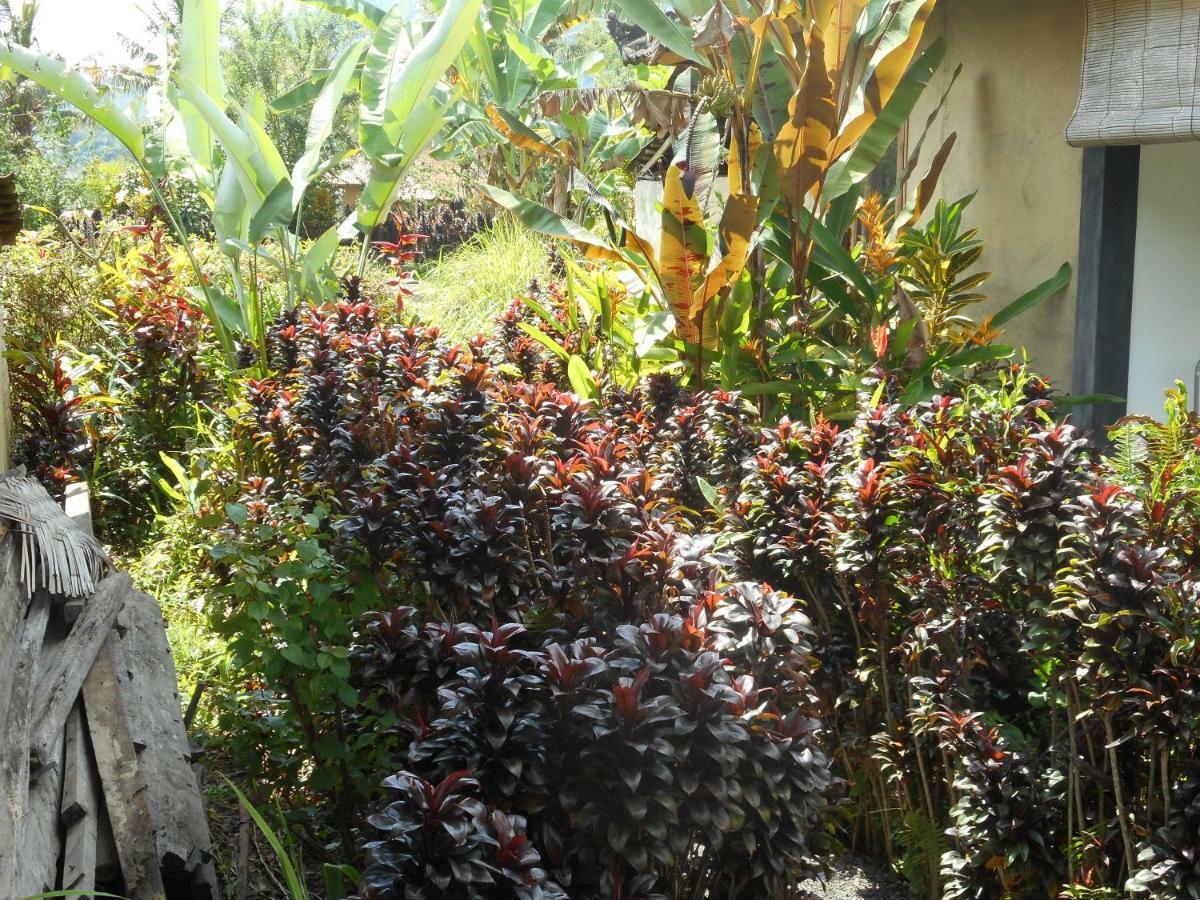 The Bukit Artha Bed & Breakfast Sidemen  Exterior foto