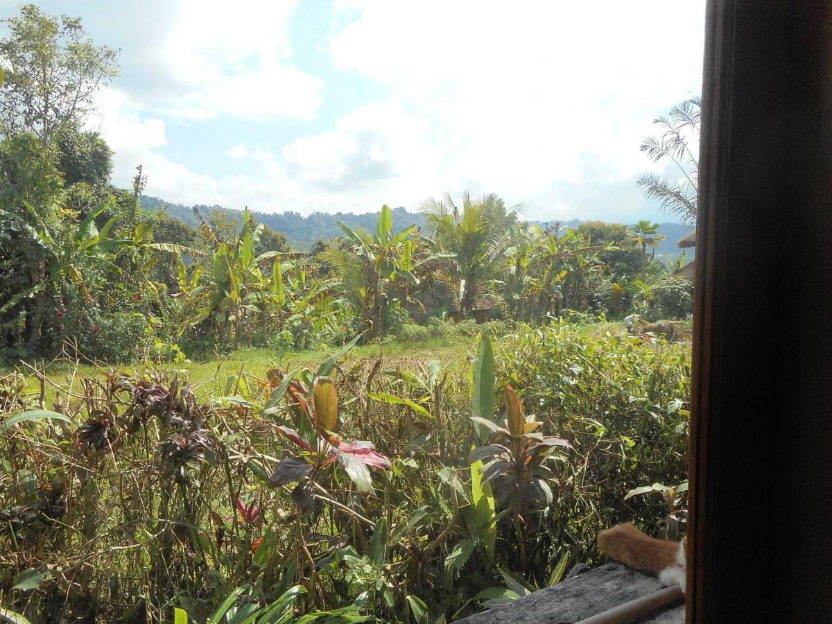The Bukit Artha Bed & Breakfast Sidemen  Exterior foto