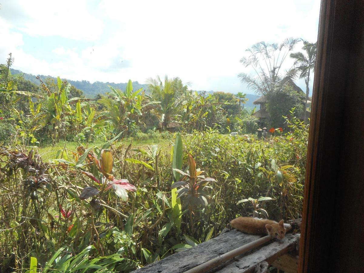 The Bukit Artha Bed & Breakfast Sidemen  Exterior foto